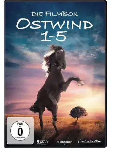 Preisvergleich Produktbild Ostwind 1-5  [5 DVDs]