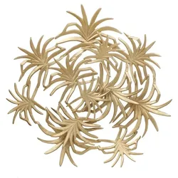Kayoom Wanddeko Keri 400 Gold