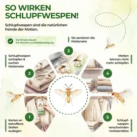 green guardia Schlupfwespen gegen Kleidermotten 15 Karten