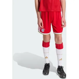 adidas FC Bayern München Heimshorts 2026/27 rot Kinder Gr. 164