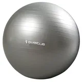 Sveltus Gymnastikball Grau 65 cm
