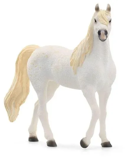 Arab Mare