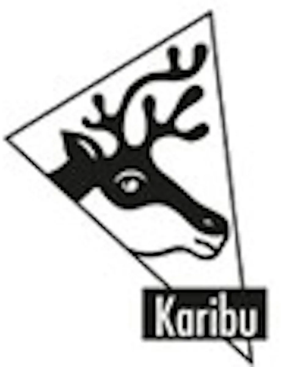 Karibu Rückwand 3 m für Anbaudach Northeim 5 naturbelassen 31310