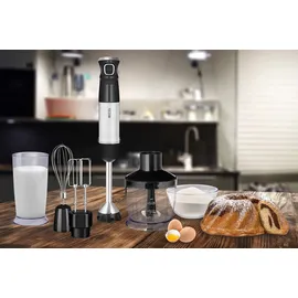 ECG RM 800 Stabmixer