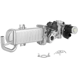 BorgWarner (Wahler) AGR-Modul mit Dichtungen