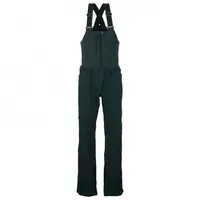 Scott W VERTIC 3L PANTS Skihose Grün S
