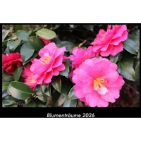 Vero Kalender Blumenträume 2026 Fotokalender DIN A3 von Tobias