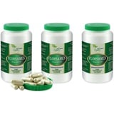 VITA IDEAL Vegan® FLOHSAMEN - Schalen 3x 360 KAPSELN - Plantago indica - Floh - Samen - Schalen - Tagesportion 1100mg FLOHSAMENSCHALEN reines Pulver. Naatürlich, pflanzlich & ohne Zusatzstoffe.