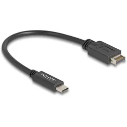 Delock USB-Kabel - 20 pin Key A (M) zu 24 pin USB-C (M)