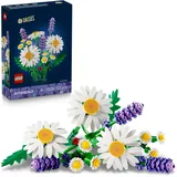 Daisies 11508