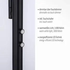 just light. Hans 11710-18 schwarz