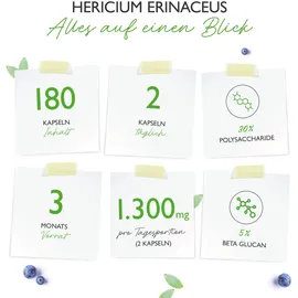 Vit4ever Hericium Intenso Kapseln 180 St.