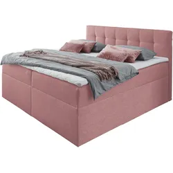 Boxbett PLACES OF STYLE, rosa, B:162cm L:210cm, Komplettbetten