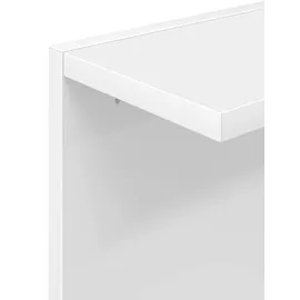vidaXL Wandregal 2 pcs 25 x 15 x 100 cm Weiß