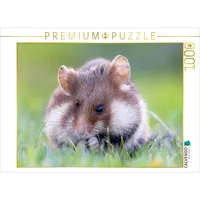 Calvendo Puzzle Feldhamster 1000 Teile Lege-Größe 64x48cm Foto-Puzzle für