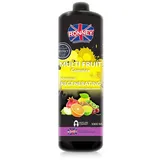 Ronney Multi Fruit Complex Regenerating Shampoo 1l