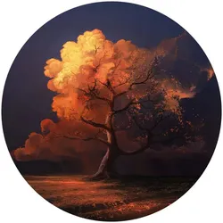 K&L Wall Art Vliestapete »Runde Vliestapete«, aerroscape Baum des Lebens Küche, mehrfarbig, matt - bunt