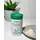 LR Proteinpulver Vanille Drink 375 g