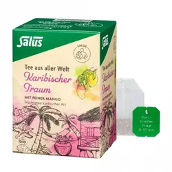 Salus Karibischer Traum Früchtetee bio (15Btl)