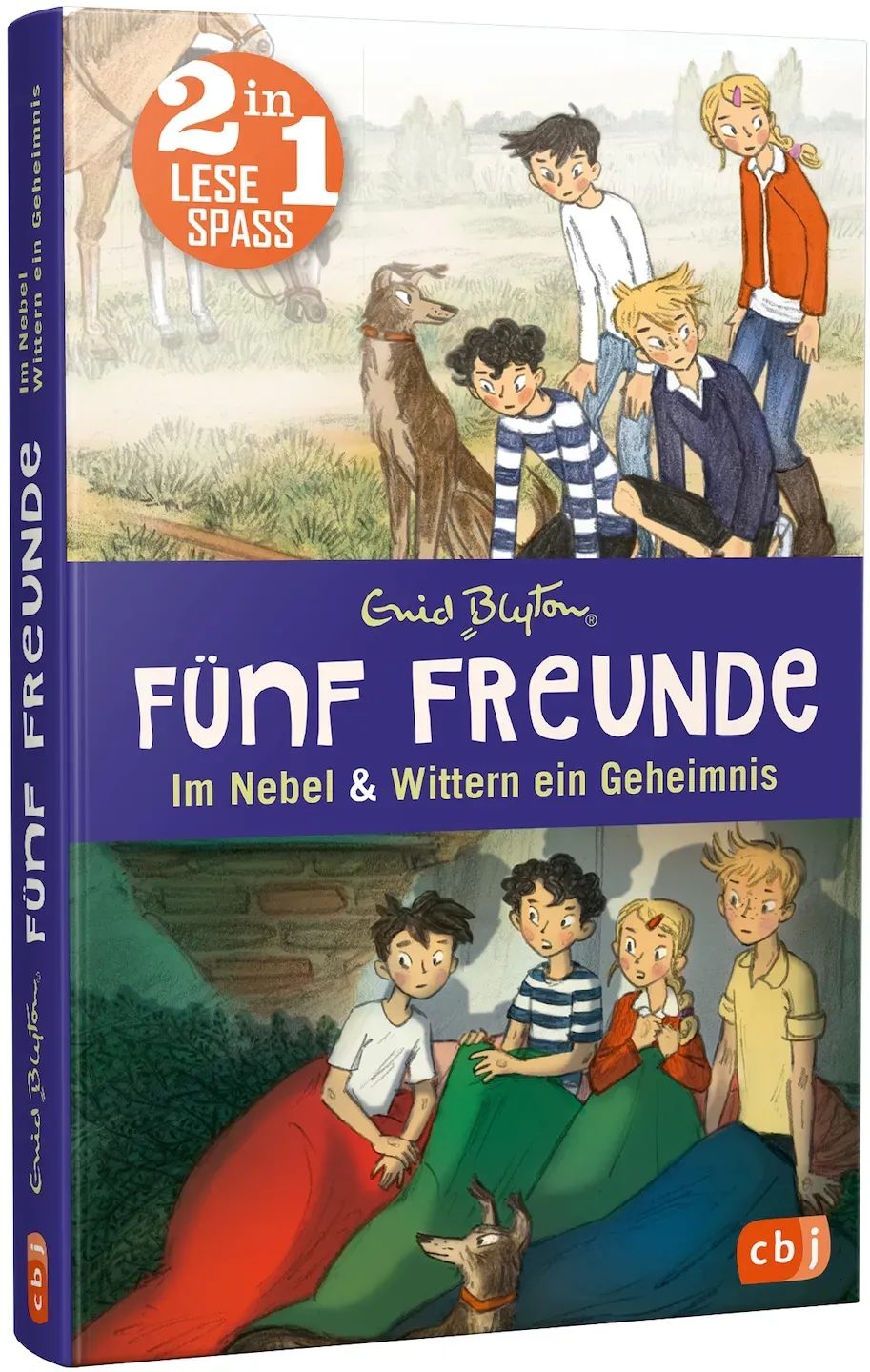 Kinderlesebücher 2in1 (Enid Blyton: Fünf Freunde im Nebel & Fünf Freunde wittern ein Geheimnis)  versch. Ausführungen