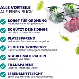 DEUBA Aufbewahrungsbox 20 x 12 x 30 cm 10-tlg. transparent