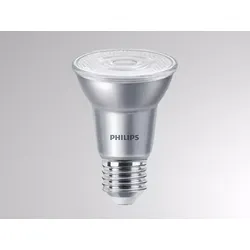 Molto Luce MASTER LEDSPOT (grau)