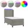 vidaXL Boxspringbett 100 x 200 cm Hellgrau