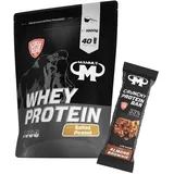 1kg Mammut Whey Protein Eiweißshake - Set inkl. Protein Shaker, Riegel, Powderbank oder Tasse (Salted Peanut, Mammut Protein Bar - Almond Brownie)