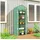 furnicato Mini-Gewächshaus Kunststoff Grün Blankglas 0 mm 0 m2