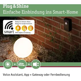 Paulmann Plug & Shine Zigbee Controller Erdspieß