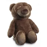 Biederlack Kuschelset Dream Team Bruno 75x100 cm