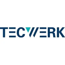 tecwerk Schleifvliesscheibe LONGLIFE D.125mm coarse 80 TECWERK