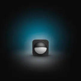 Philips Hue Outdoor Bewegungssensor schwarz