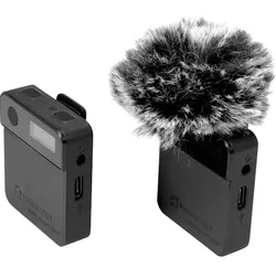 Relacart MIPASSPORT Miniaturfunksystem für Videofilmer, Mikrofon