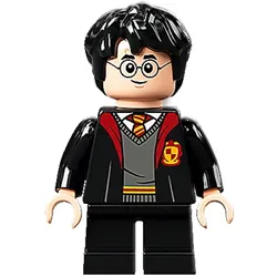 LEGO® - Harry Potter - hp314 - Harry Potter (76389)