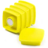 5x Boston Xtra, Magnet, Büromagnete viereckig, 5er-Set (1x)