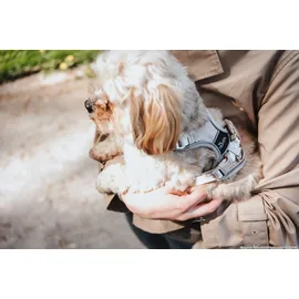 Hunter Geschirr Divo Up taupe