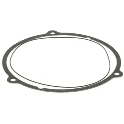 Buderus Dichtung 199x184x2mm mit O-Ring BM 8738807114
