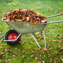 Relaxdays Schubkarrenrad 4.80 4.00-8 luftbereift, Komplettrad 120 kg Traglast, Luftreifen m. Ventil, schwarz-rot
