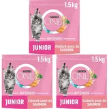 PURINA ONE | BIFENSIS | Kätzchen bis zu 12 Monate und Katzen in der Schwangerschaft | Trockenfutter | hilft bei der gesunden Entwicklung der Vitalfunktionen der Katze | Lachs | Beutel | 1,5 kg