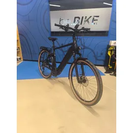 Pegasus Premio Evo 10 Lite 2024 28 Zoll RH 50 cm schwarz matt