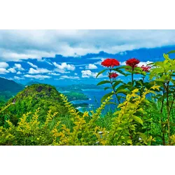 Fototapete PAPERMOON "INSEL-SEYCHELLEN BLUMEN KÜSTE GEBIRGE MEER PANORAMA", bunt, B:2,50m L:1,86m, Vlies, Tapeten