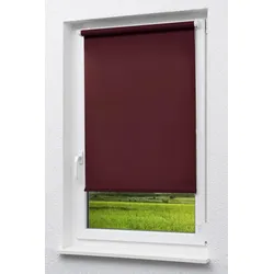 Lysel Outlet - Mini Rollo Tageslicht Weinrot (B x H) 123cm x 175cm
