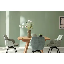 Schöner Wohnen Trendfarbe Olive matt 1 l