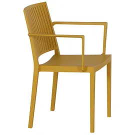 Siena Garden Stapelsessel-Set Lane 4-teilig Mustard
