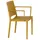 Siena Garden Stapelsessel-Set Lane 4-teilig Mustard