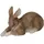 FD Dekofigur Hase liegend 7,5 x 5,5 x 14 cm