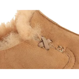 HAFLINGER Saskatchewan Beige 43