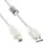 InLine USB-A auf USB-B 5 m Transparent