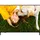 LG 50UA751C 50" 4K UHD LED webOS TV